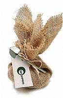 KIT PLANTIO
