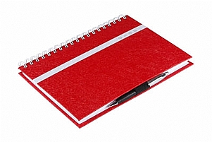 MOLESKINE