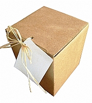 CAIXA KRAFT