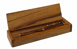 CANETA RAIZ