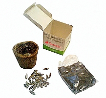 KIT PLANTIO