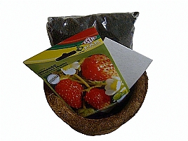 KIT PLANTIO