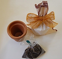 KIT PLANTIO
