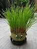 BONECO VERDE
