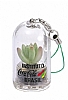 CHAVEIRO PLANTA