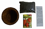 KIT PLANTIO